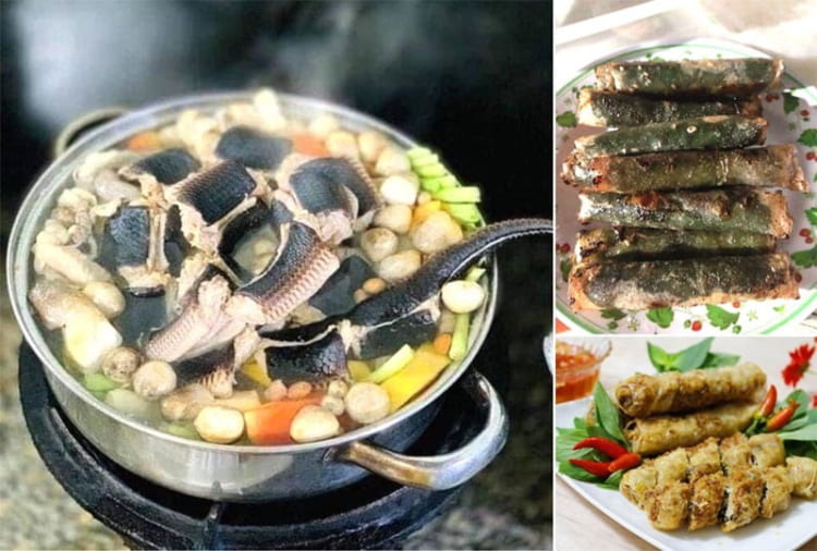 Đẻn biển - đặc sản Quảng Bình giàu chất dinh dưỡng